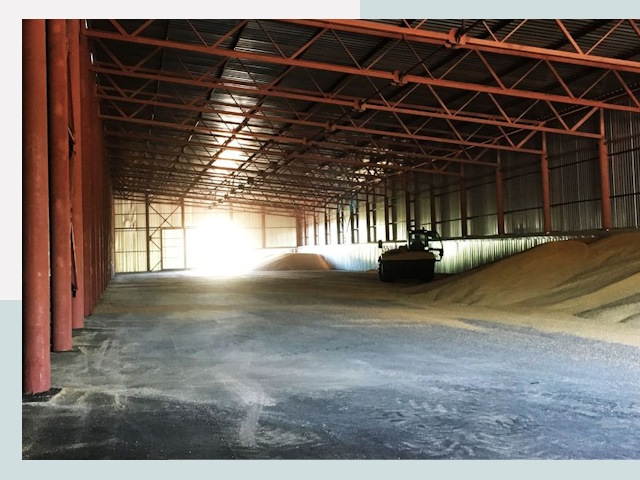 Строительство зернохранилищ в Алексеевке