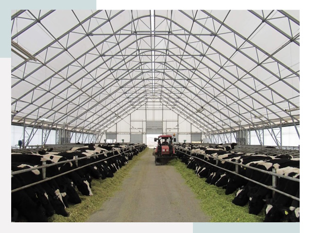 Тентовые коровники в Алексеевке от 607 руб. - Надежно и доступно